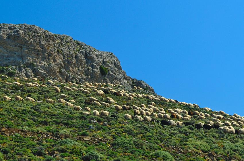 Προορισμός