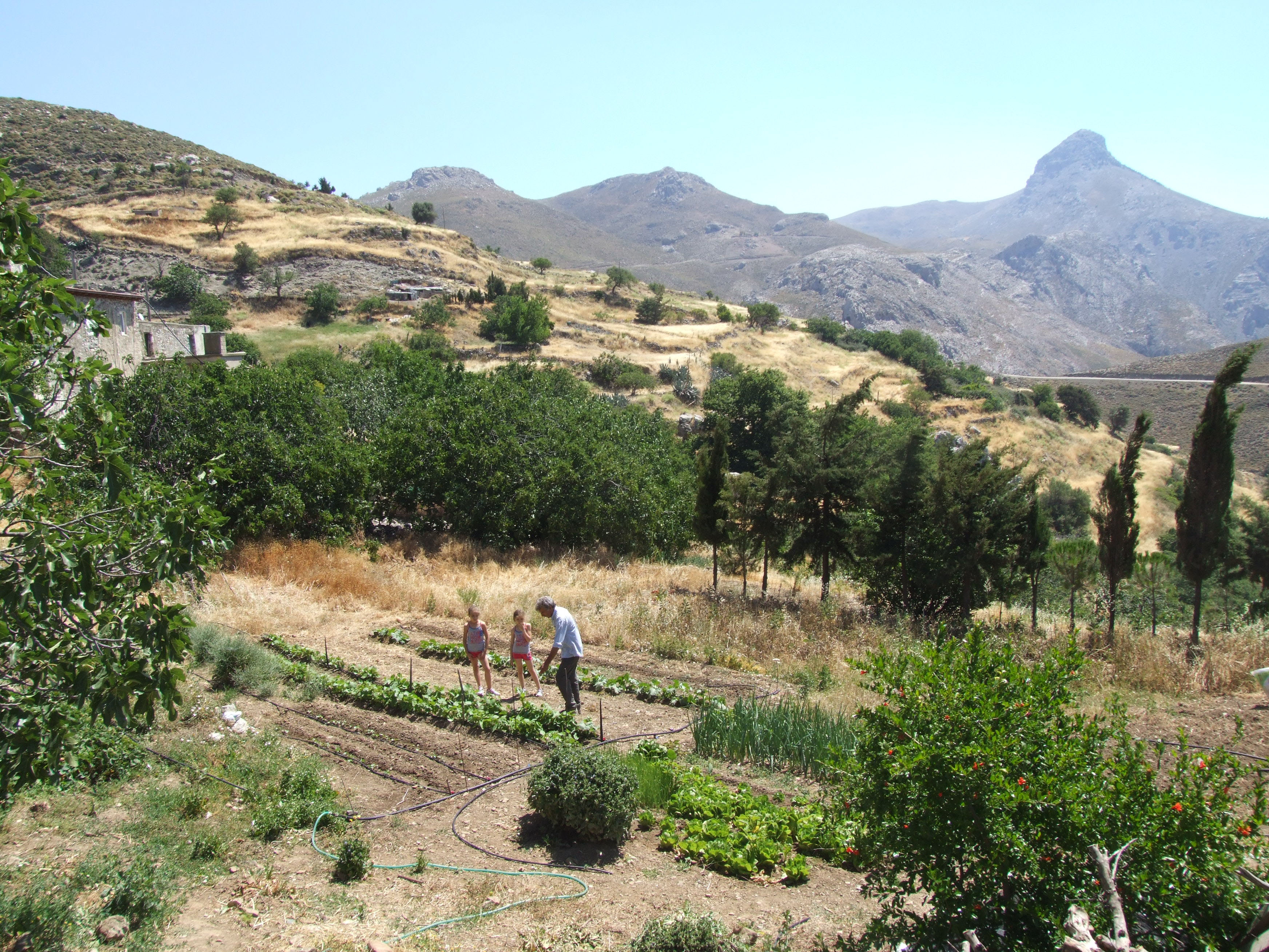 Συμμετοχή στις αγροτικές / κτηνοτροφικές εργασίες