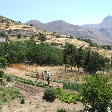 Participation à des activités d'élevage et agricoles