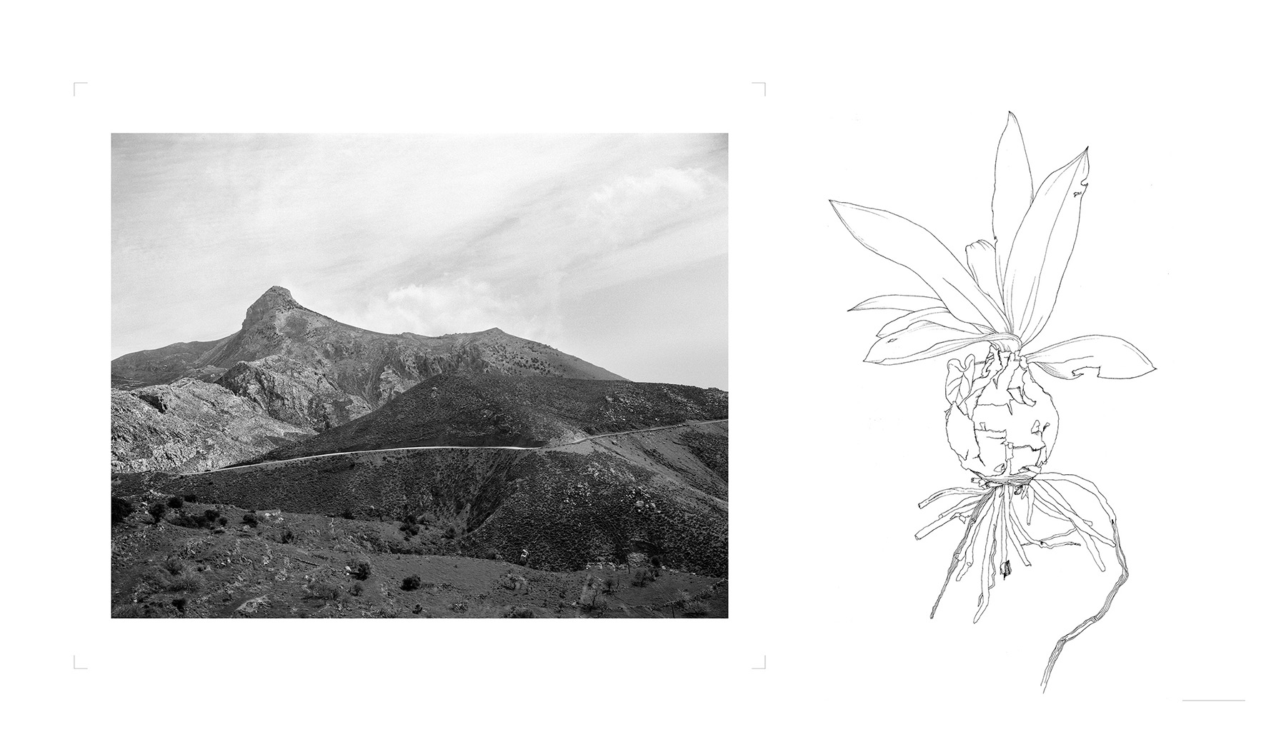 Lia Nalbantidou & Maita Chatziioannidou