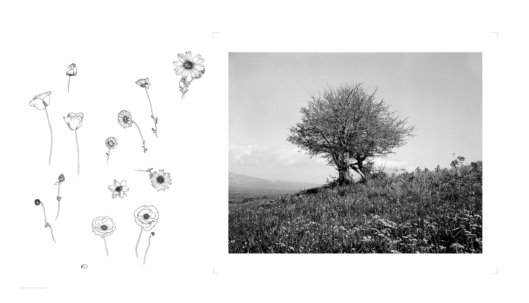 Lia Nalbantidou & Maita Chatziioannidou