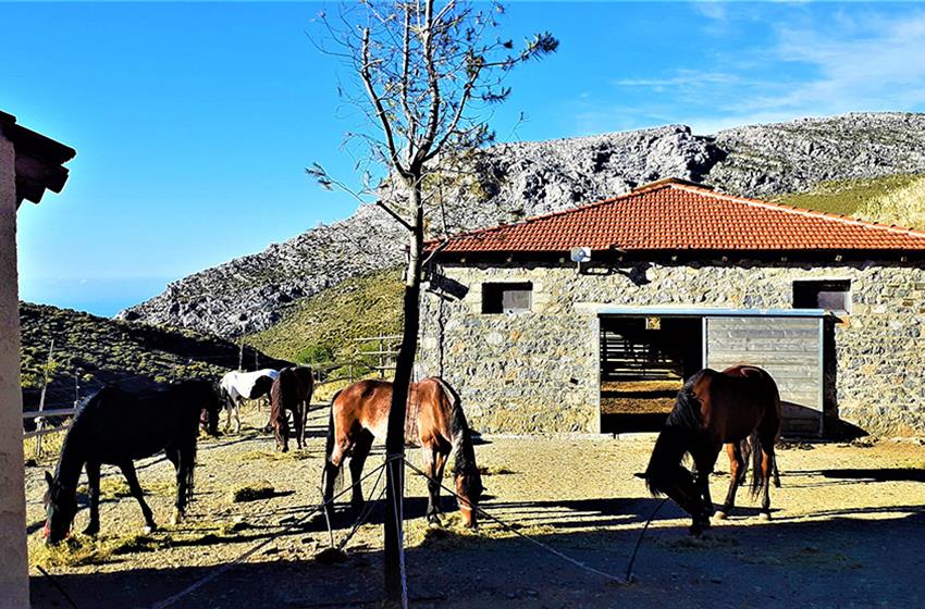 La ferme