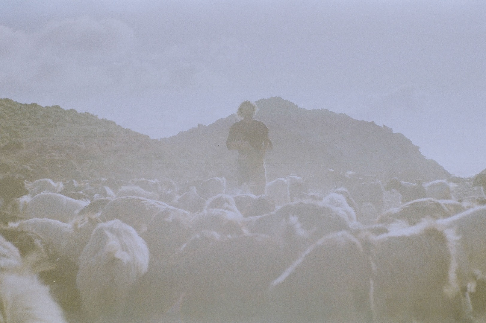 Joséphine Vallé Franceschi