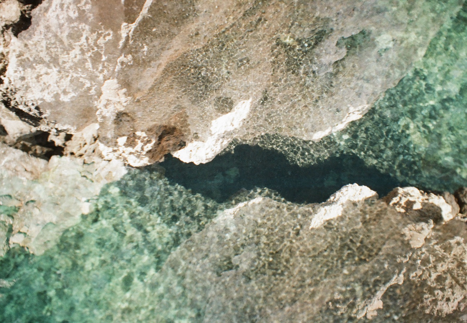 Joséphine Vallé Franceschi